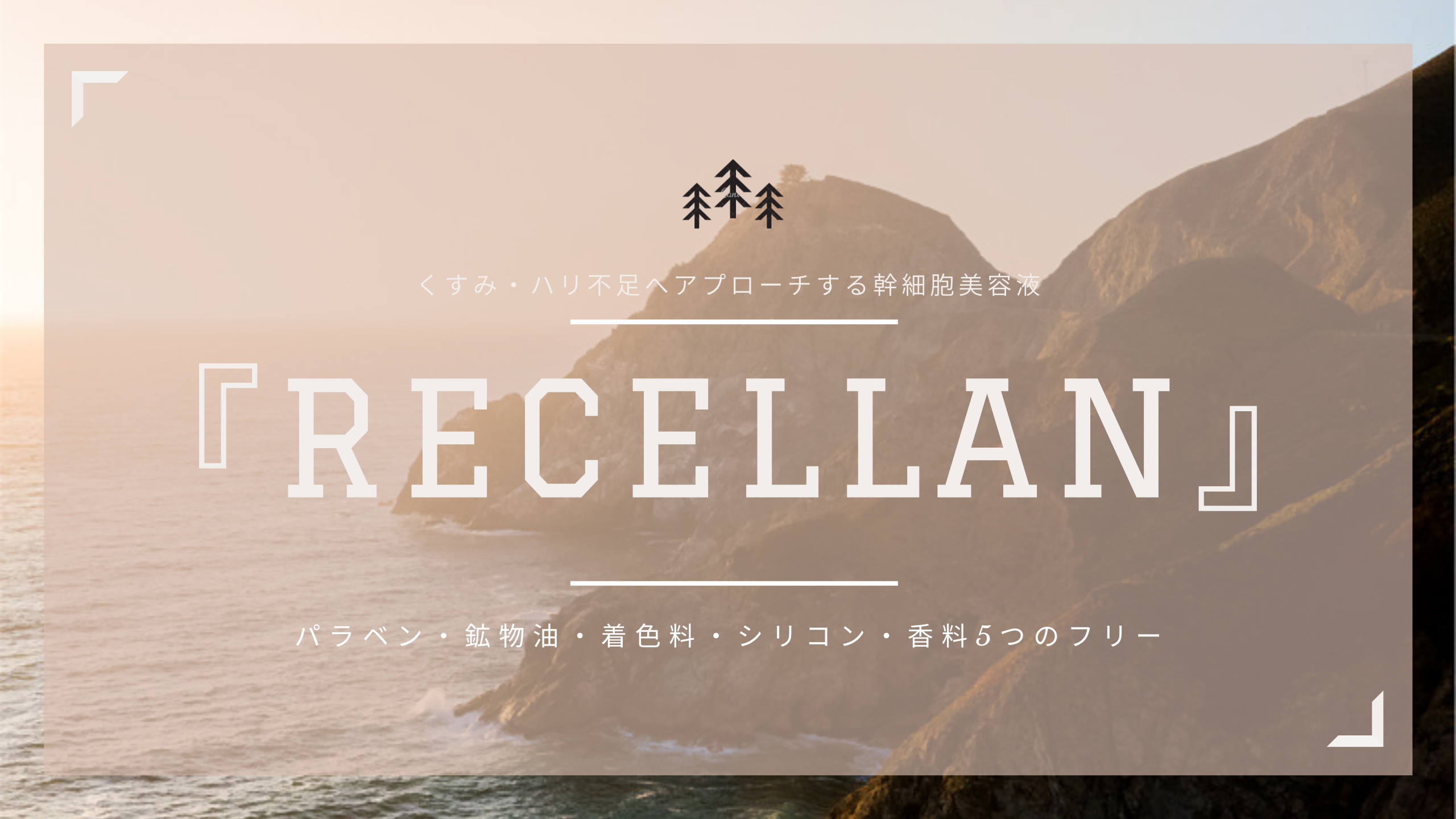 『RECELLAN』