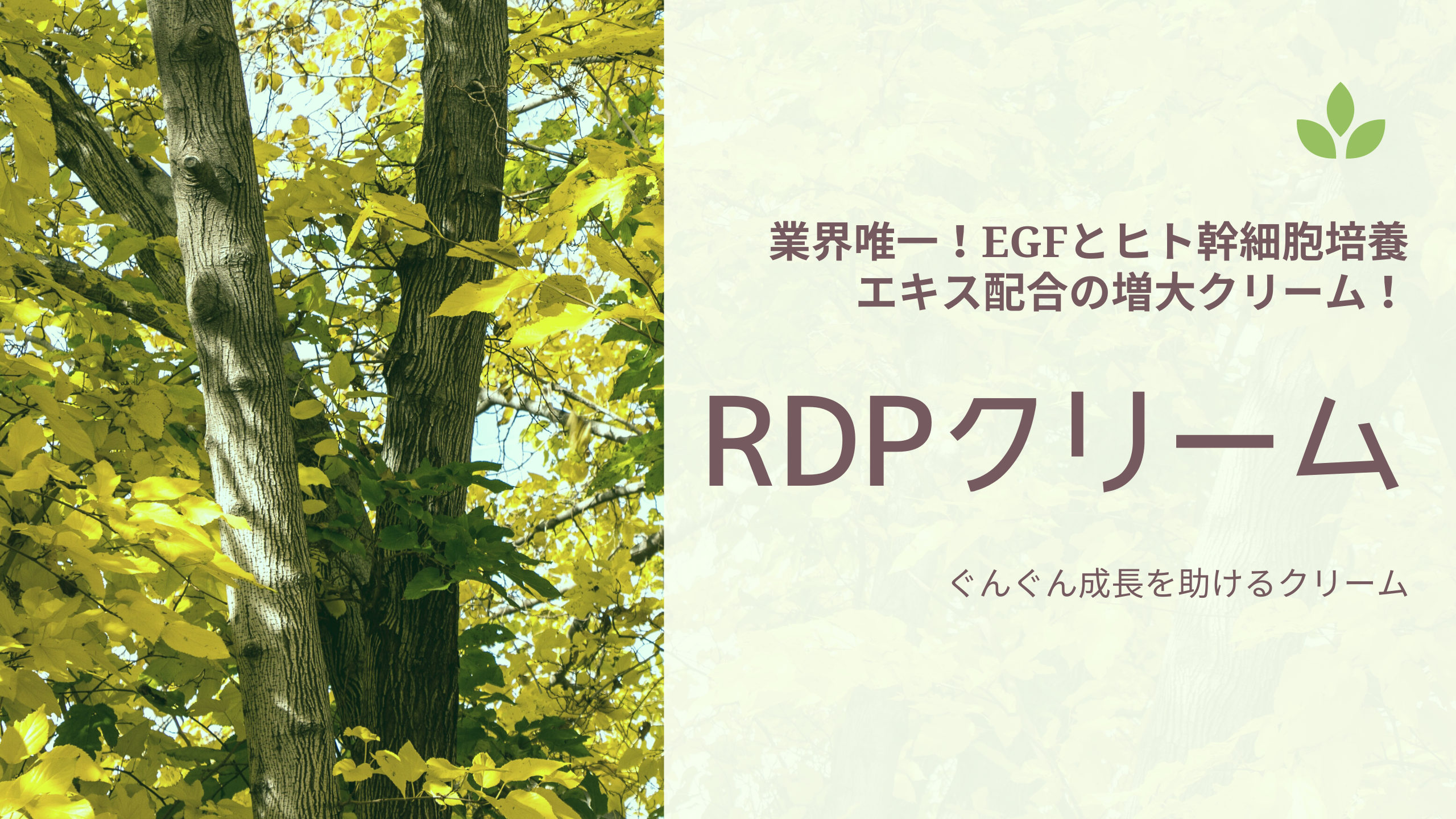 RDPクリームアイキャッチ画像