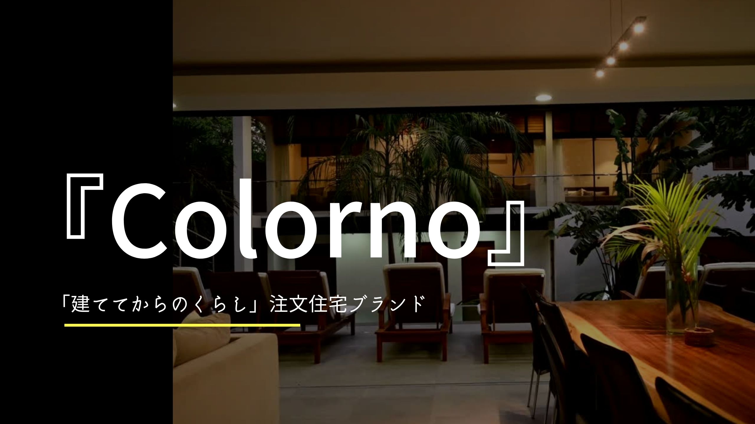 『Colorno』アイキャッチ画像