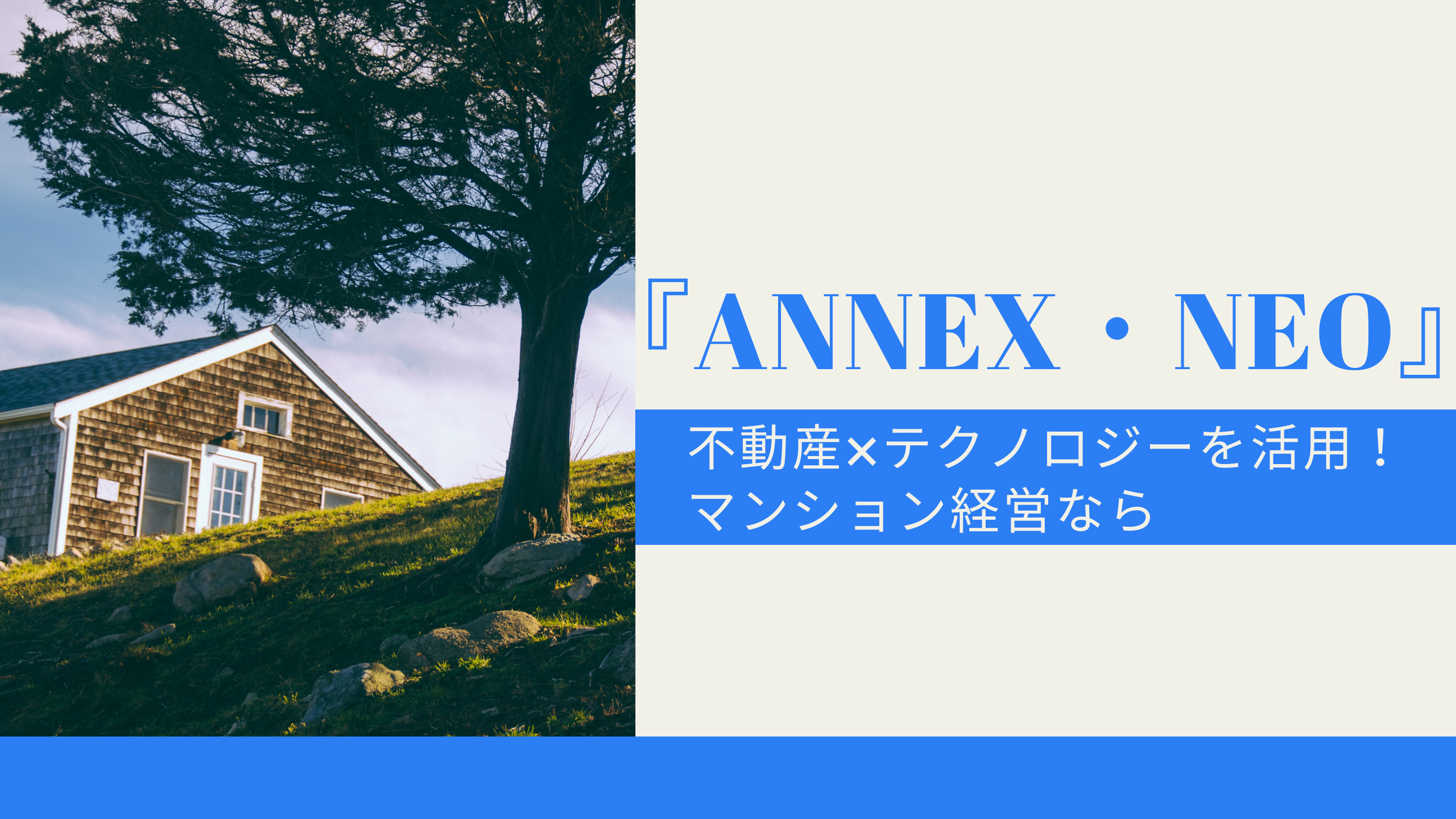 『ANNEX・NEO』アイキャッチ画像