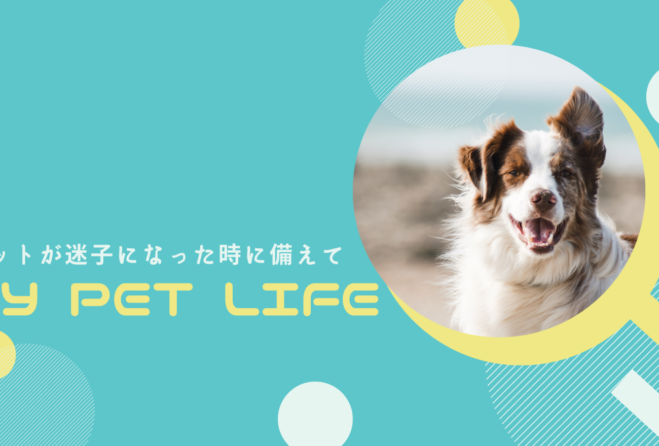 MY PET LIFEアイキャッチ画像