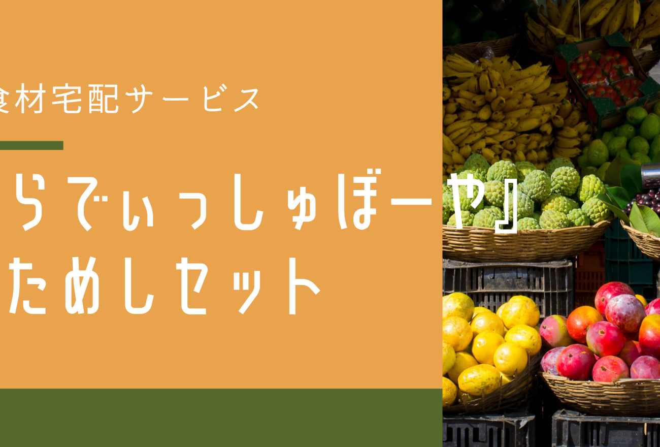 『らでぃっしゅぼーや』おためしセットアイキャッチ画像