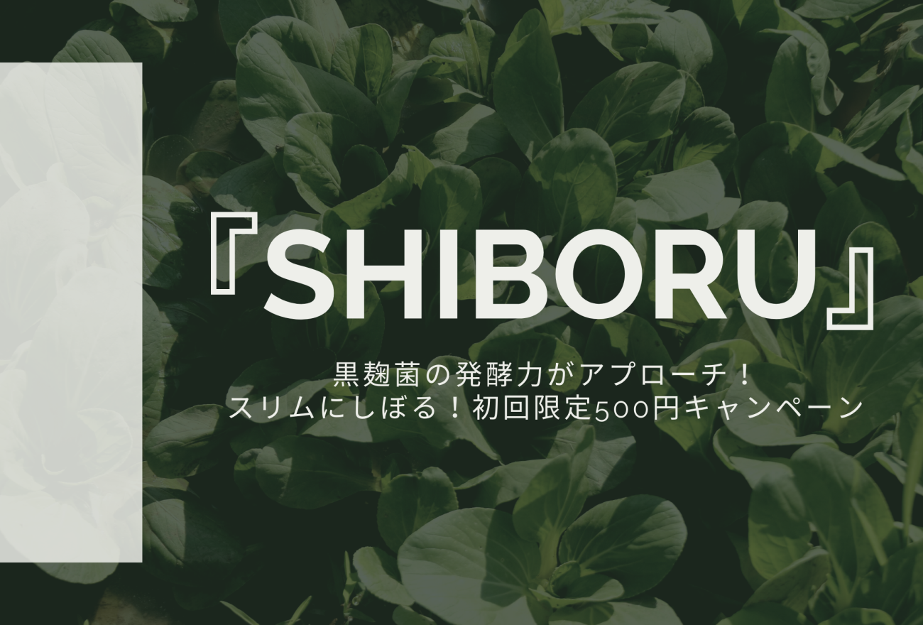 『SHIBORU』アイキャッチ画像